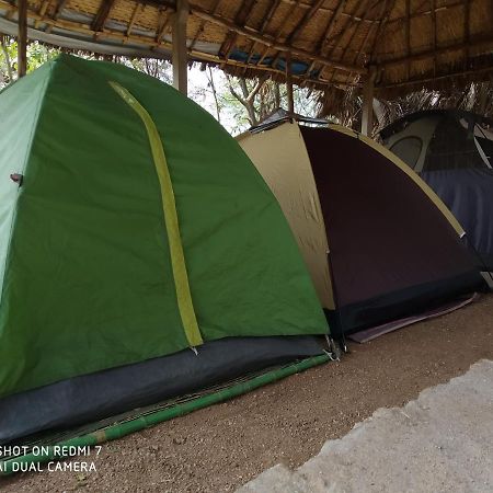 Drunken Monkey Camping Site Hotel Hampi Ngoại thất bức ảnh