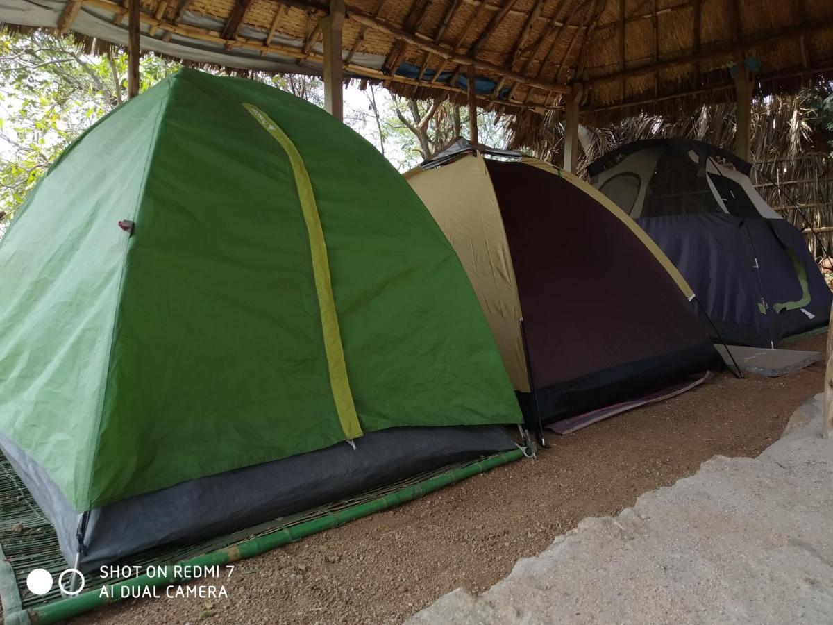 Drunken Monkey Camping Site Hotel Hampi Ngoại thất bức ảnh