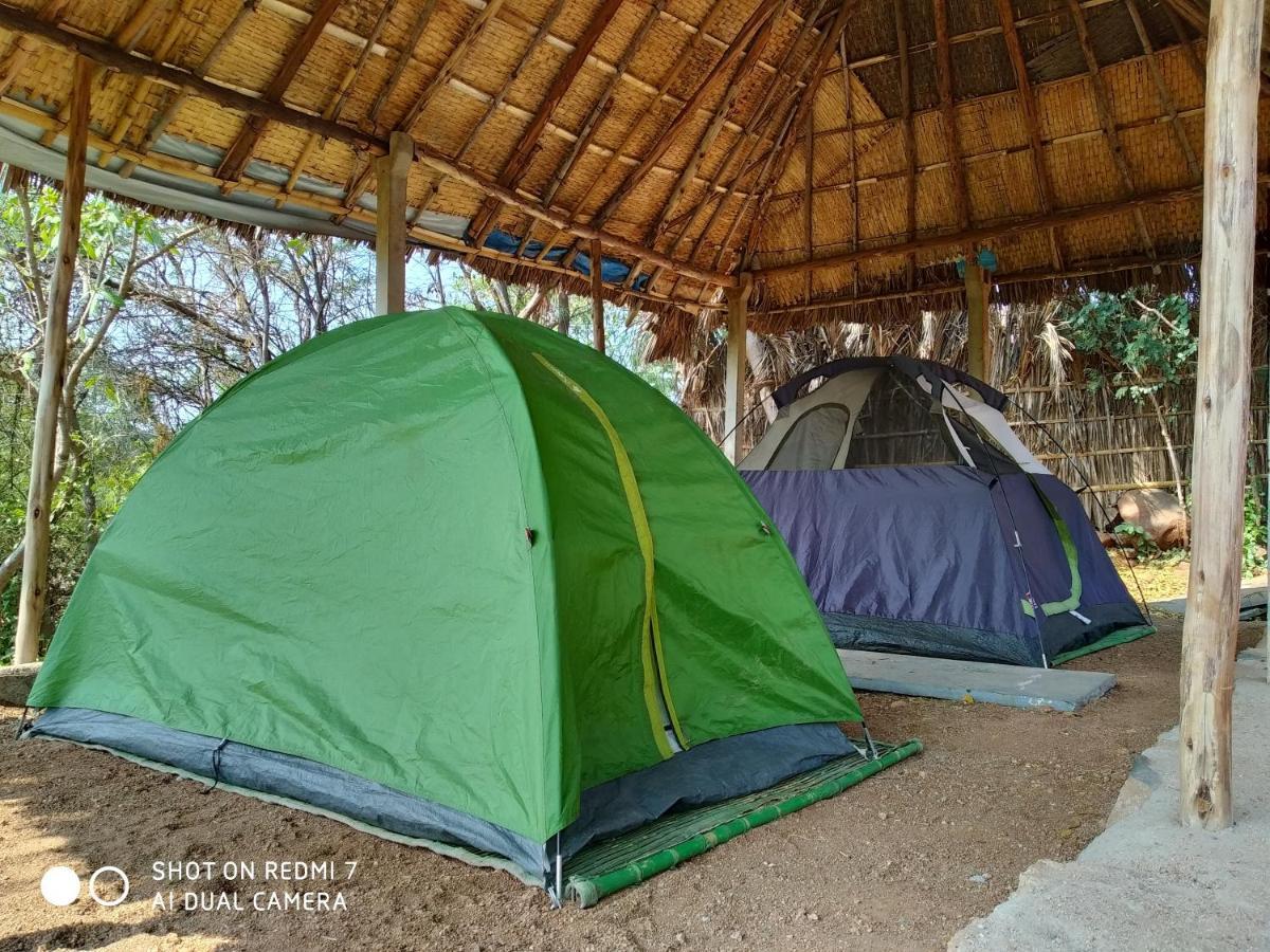 Drunken Monkey Camping Site Hotel Hampi Ngoại thất bức ảnh