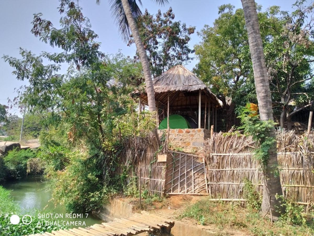 Drunken Monkey Camping Site Hotel Hampi Ngoại thất bức ảnh