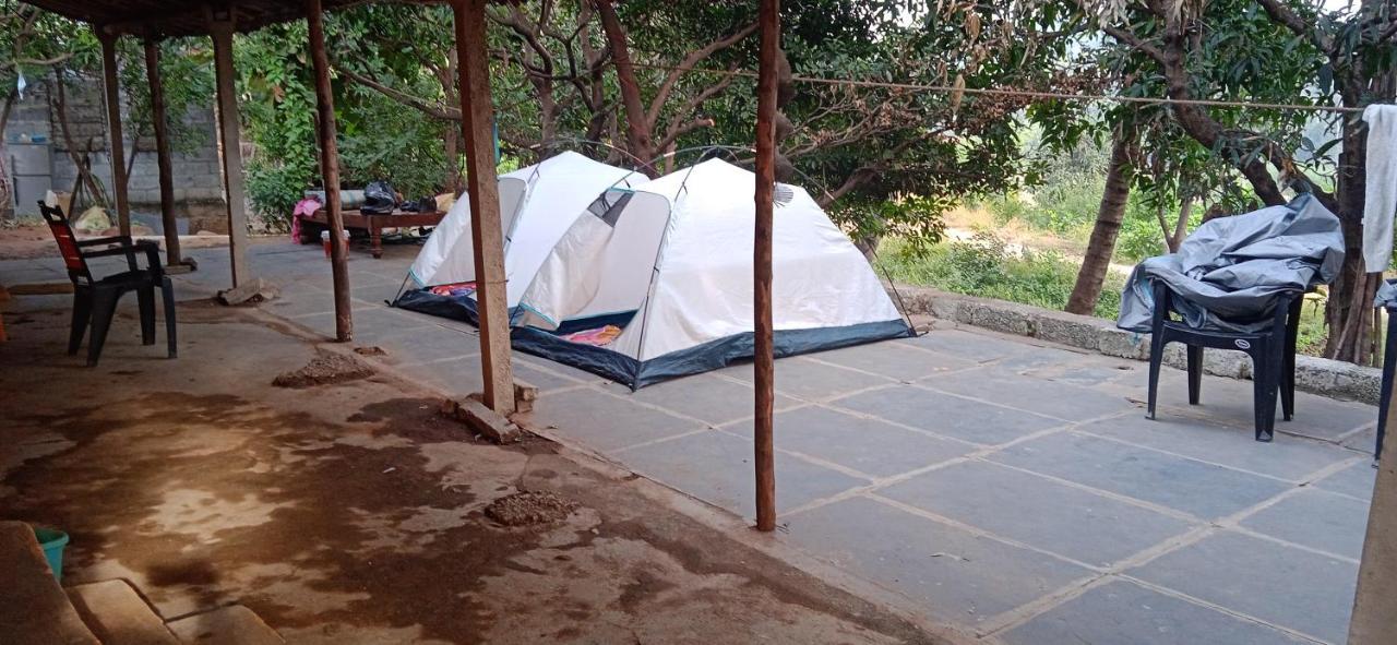 Drunken Monkey Camping Site Hotel Hampi Ngoại thất bức ảnh